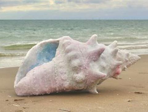 Billedet viser en udstilling af en konkylie på Hjerting strand. 